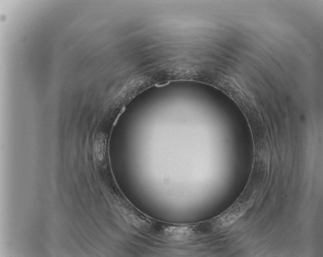 X0000086930133200704231340