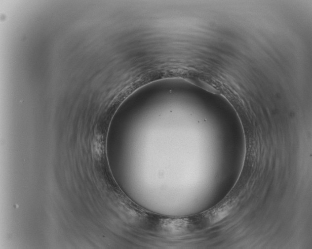 X0000086930135200704231340