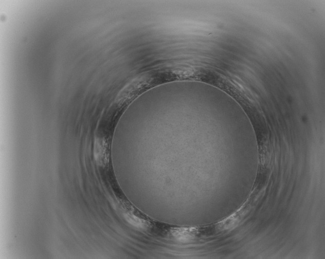 X0000086930136200704231340