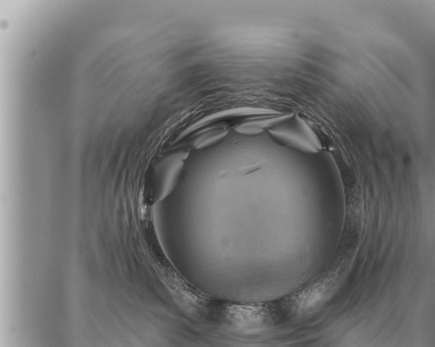 X0000086930139200704231340