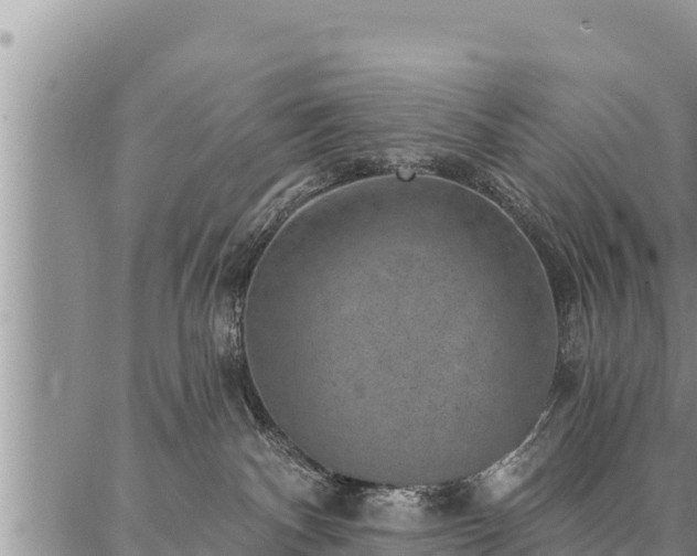 X0000086930140200704231340