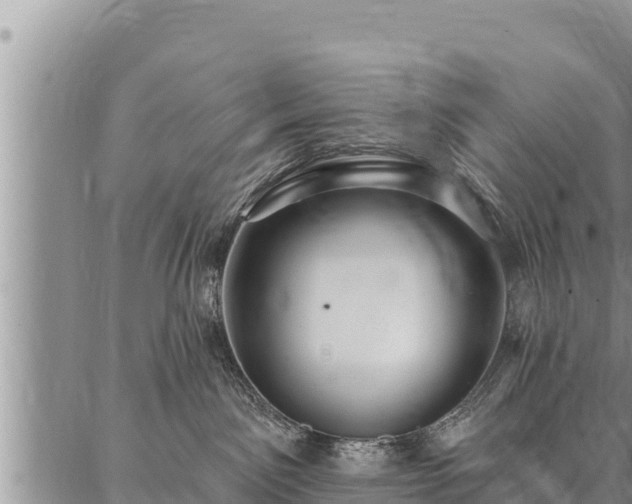 X0000086930141200704231340