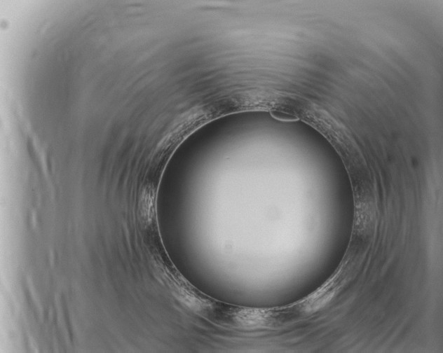 X0000086930142200704231340