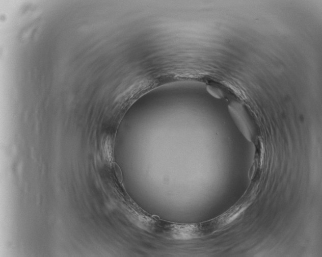 X0000086930143200704231340