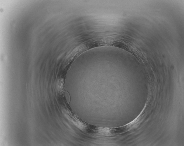 X0000086930144200704231340