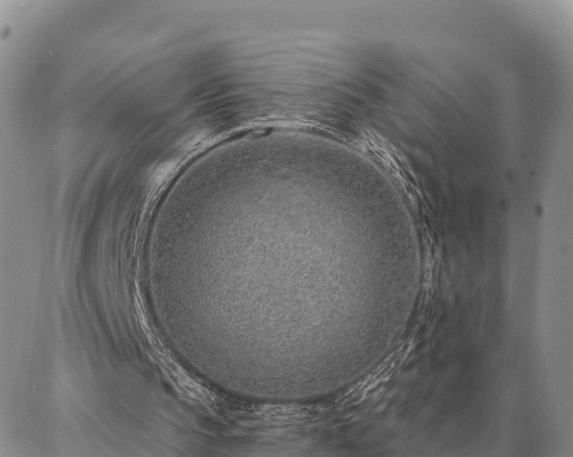 X0000086930145200704231339