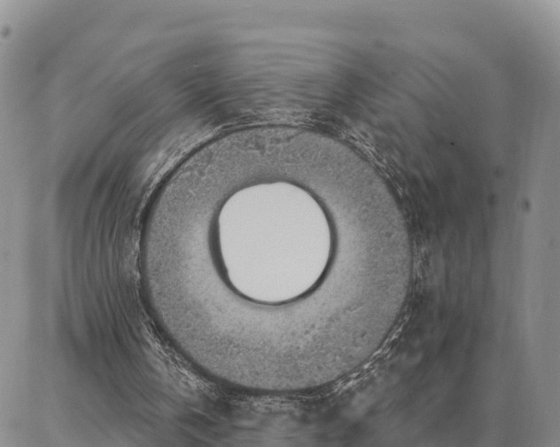 X0000086930146200704231339