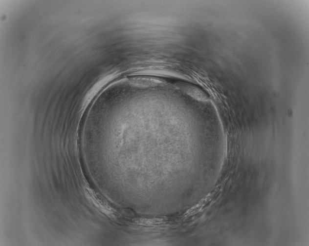 X0000086930147200704231339