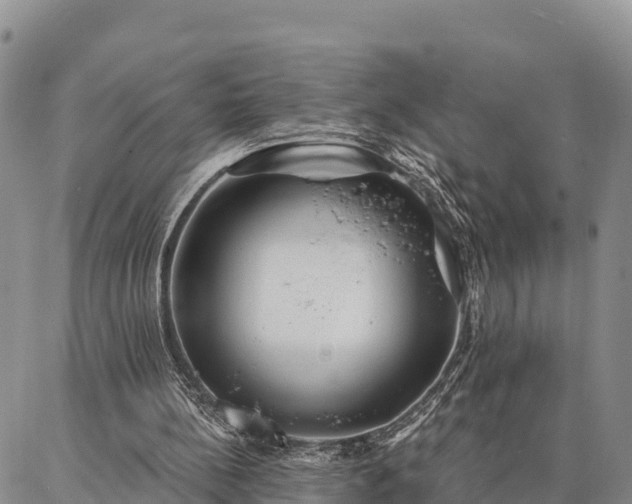 X0000086930148200704231339