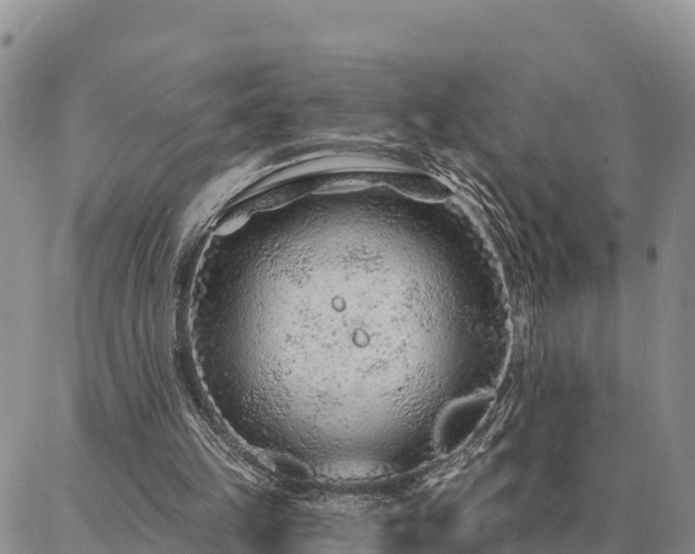 X0000086930149200704231339