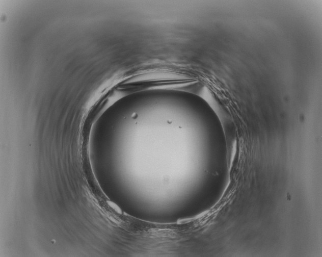 X0000086930150200704231339