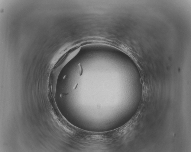 X0000086930151200704231339