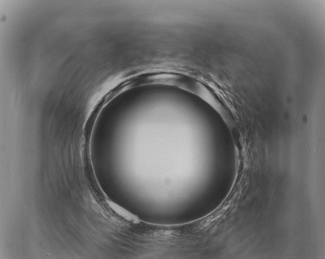 X0000086930152200704231339