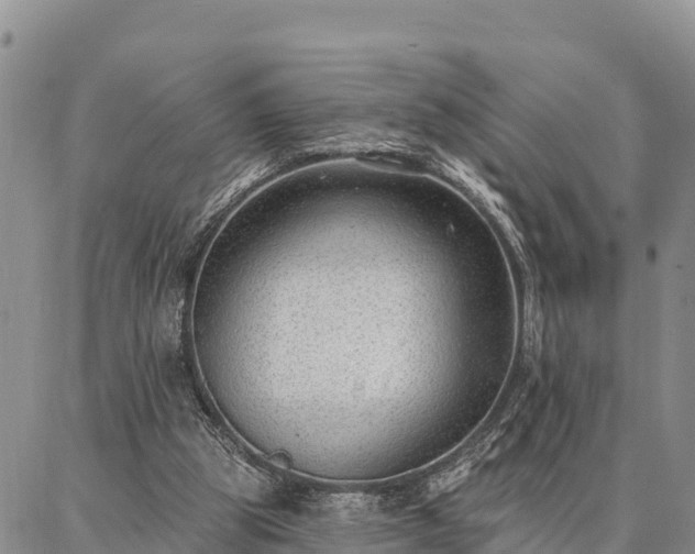 X0000086930153200704231339