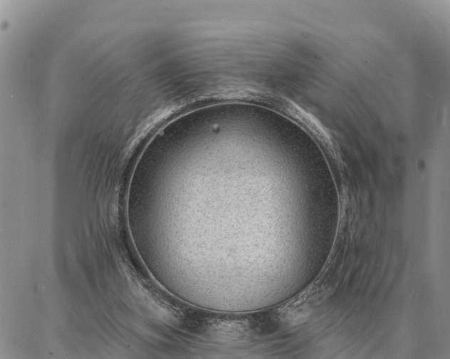 X0000086930155200704231339