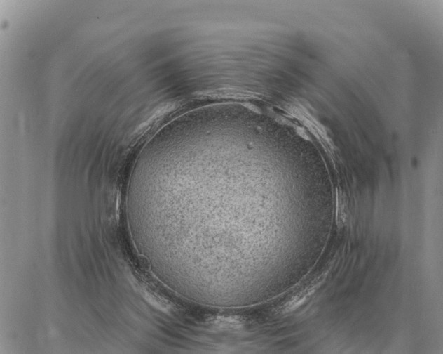 X0000086930157200704231339