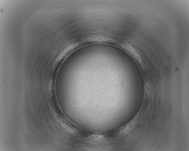 X0000086930159200704231339