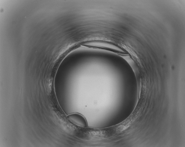 X0000086930160200704231339