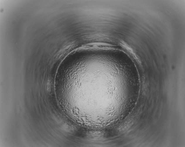 X0000086930161200704231339