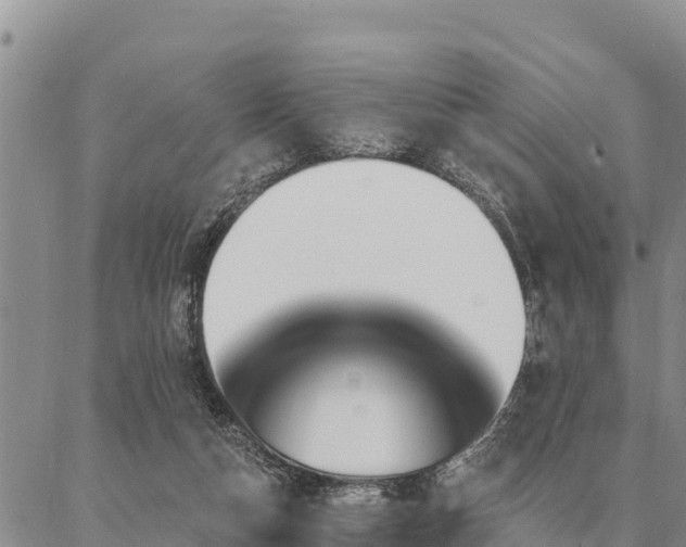 X0000086930162200704231339