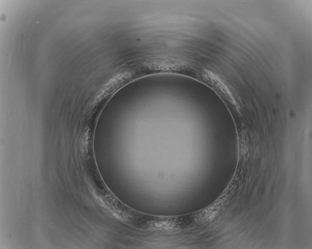 X0000086930163200704231339