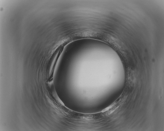 X0000086930164200704231339