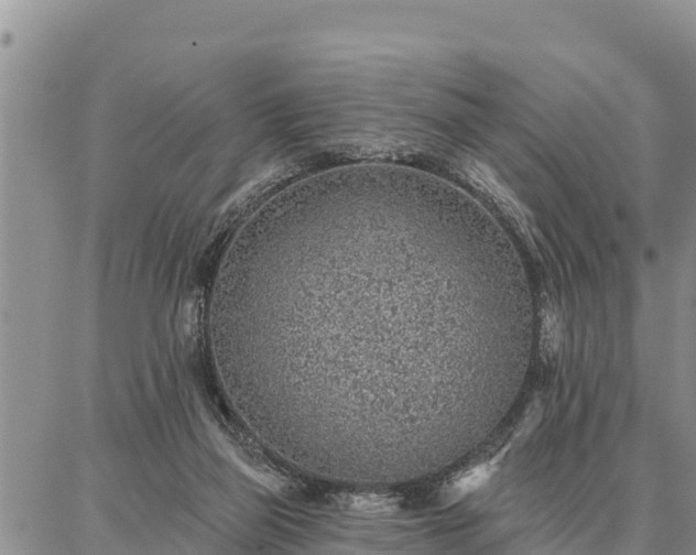 X0000086930165200704231339