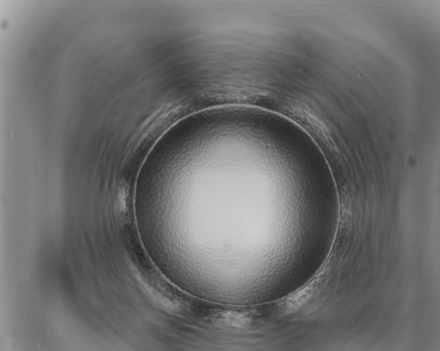 X0000086930166200704231339