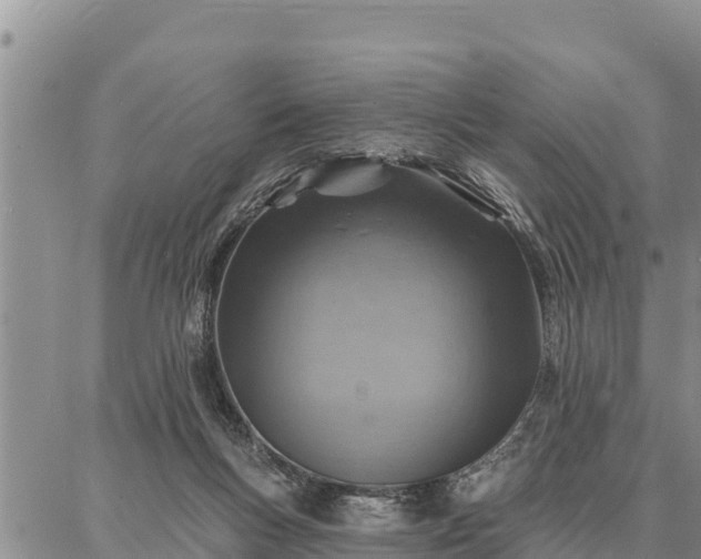 X0000086930167200704231339