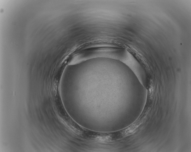 X0000086930168200704231339