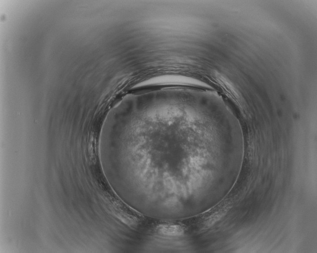 X0000086930169200704231339