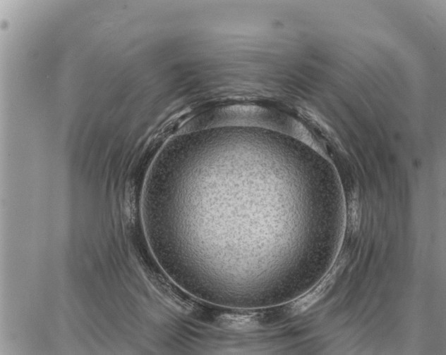 X0000086930170200704231339