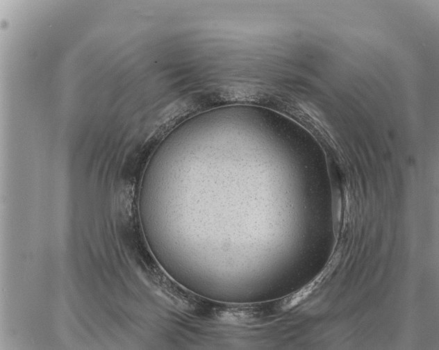 X0000086930171200704231339