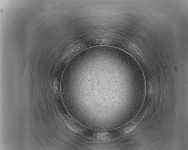 X0000086930173200704231339