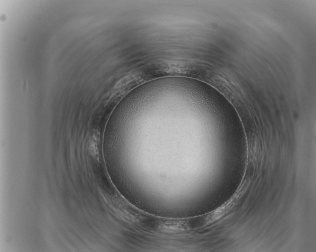 X0000086930175200704231339