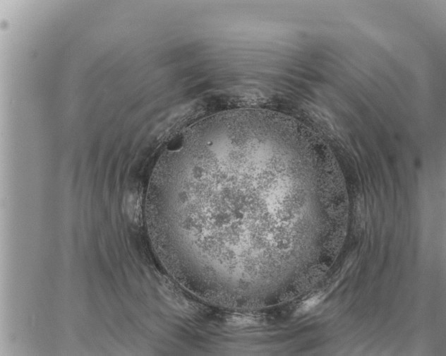 X0000086930177200704231339