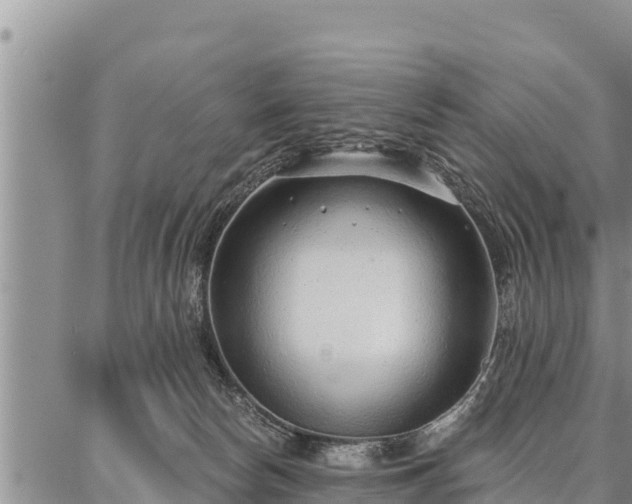 X0000086930178200704231339