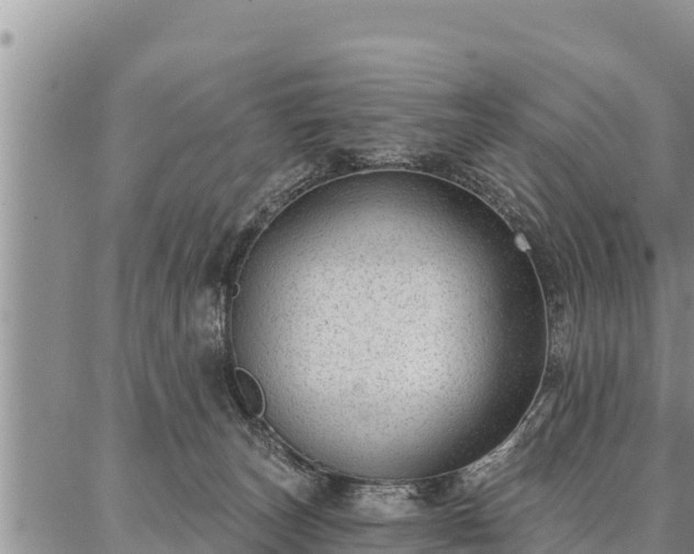 X0000086930179200704231339