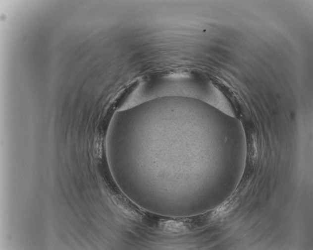 X0000086930180200704231339