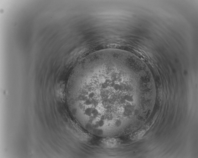 X0000086930181200704231339