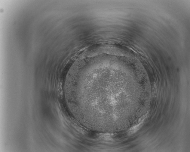 X0000086930182200704231339