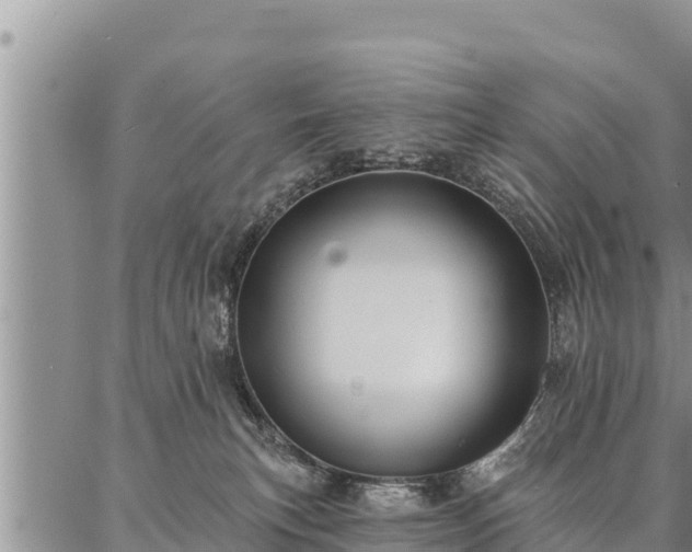 X0000086930183200704231339