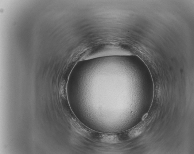 X0000086930185200704231339