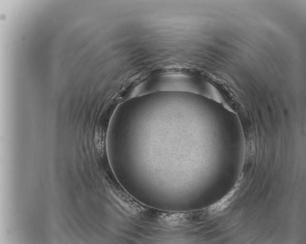 X0000086930186200704231339