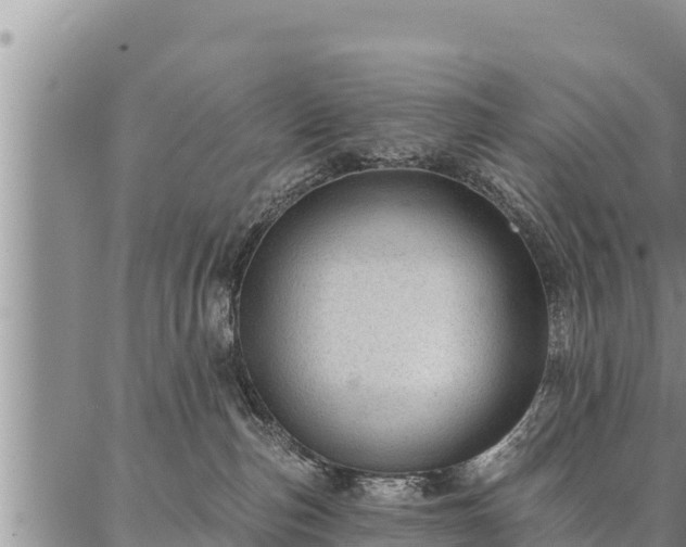 X0000086930187200704231339