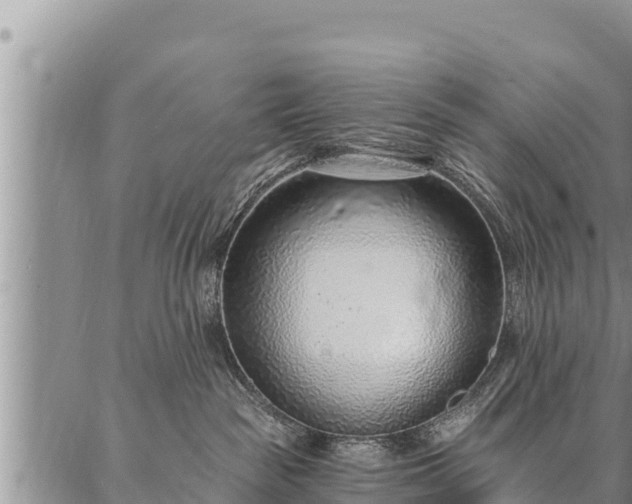 X0000086930189200704231340