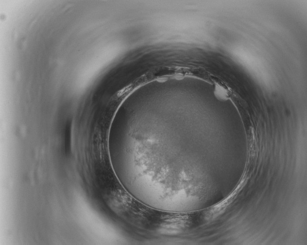 X0000086930191200704231340