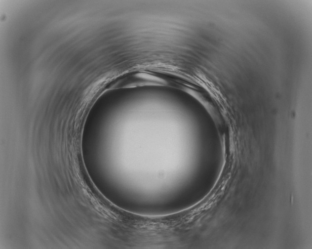 X0000086930193200704231339