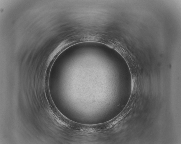 X0000086930195200704231339