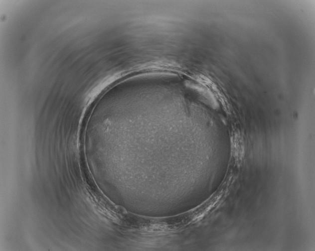 X0000086930196200704231339